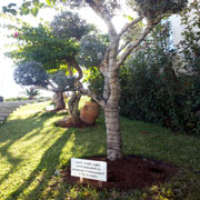 Memorial Signage