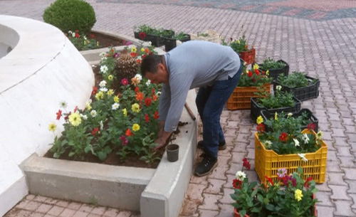 Blooming by Nature - LAU's Plant Nursery and Green House