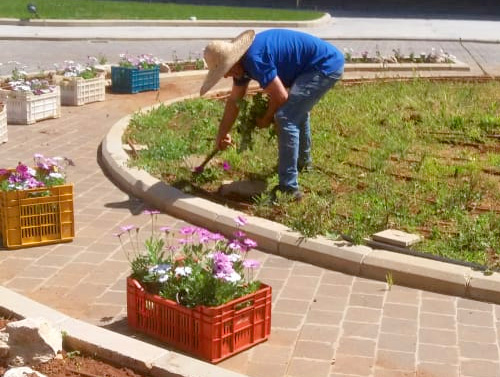 Blooming by Nature - LAU's Plant Nursery and Green House